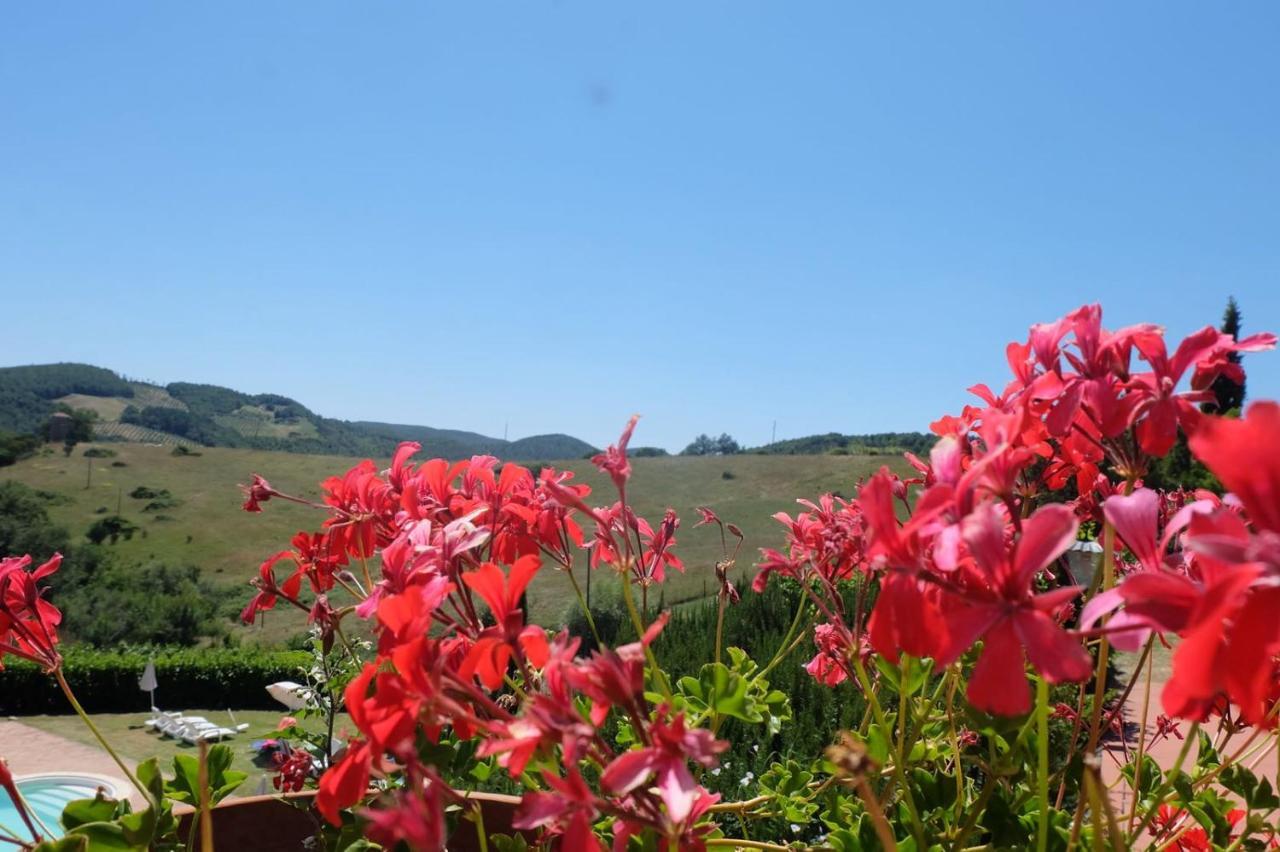Country House La Collina Di Bargiano - Casa Raffaella Allerona Ngoại thất bức ảnh