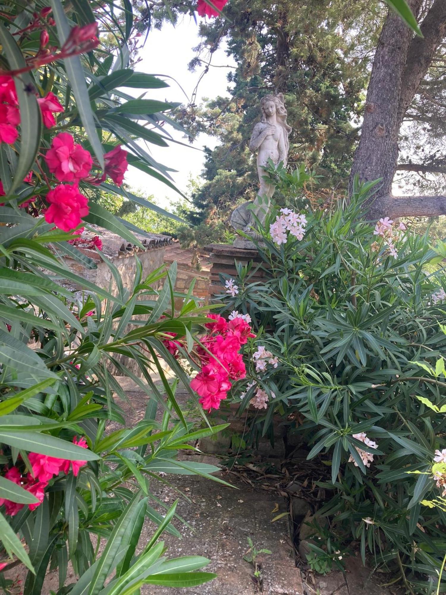 Country House La Collina Di Bargiano - Casa Raffaella Allerona Ngoại thất bức ảnh