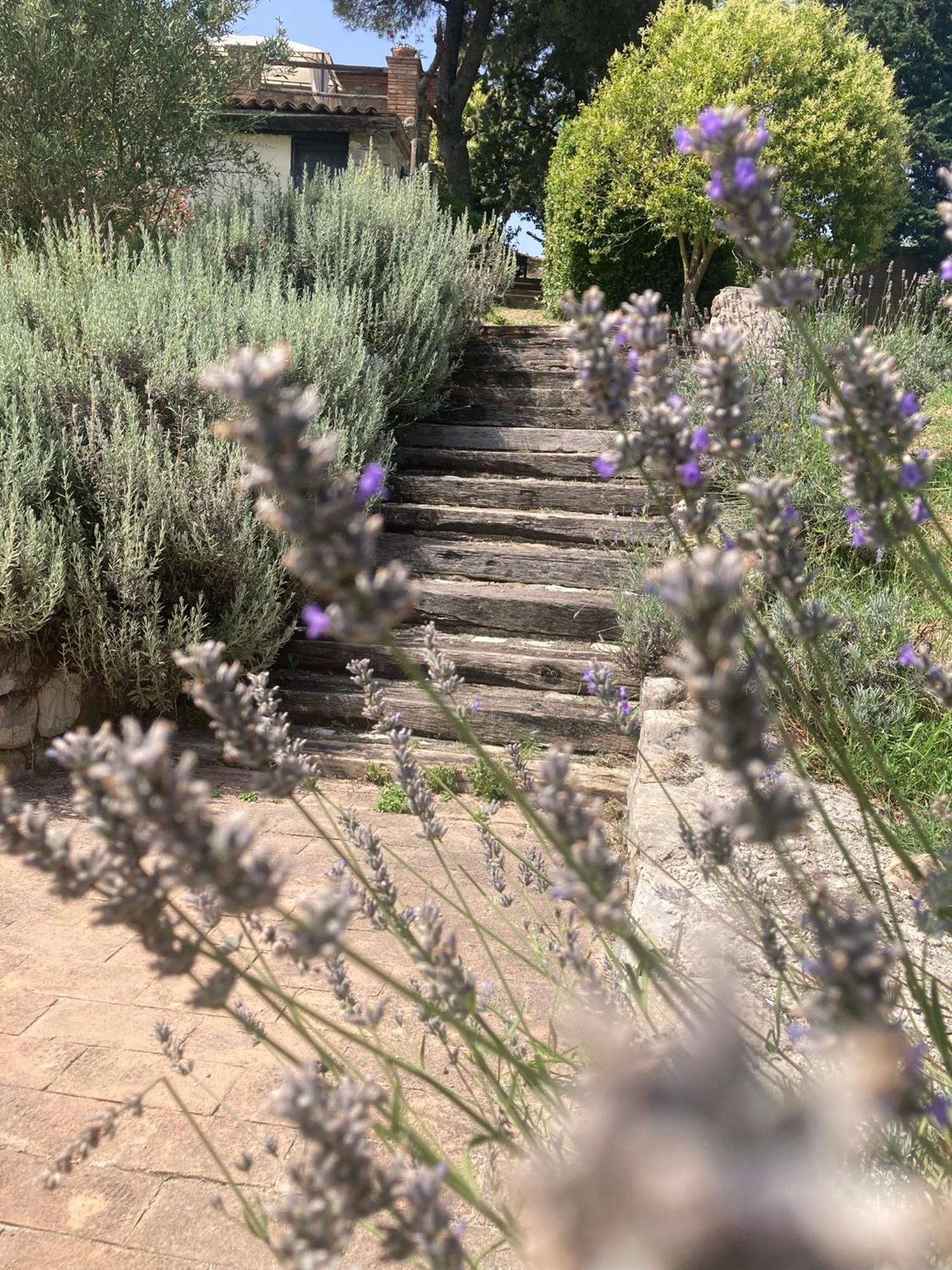 Country House La Collina Di Bargiano - Casa Raffaella Allerona Ngoại thất bức ảnh