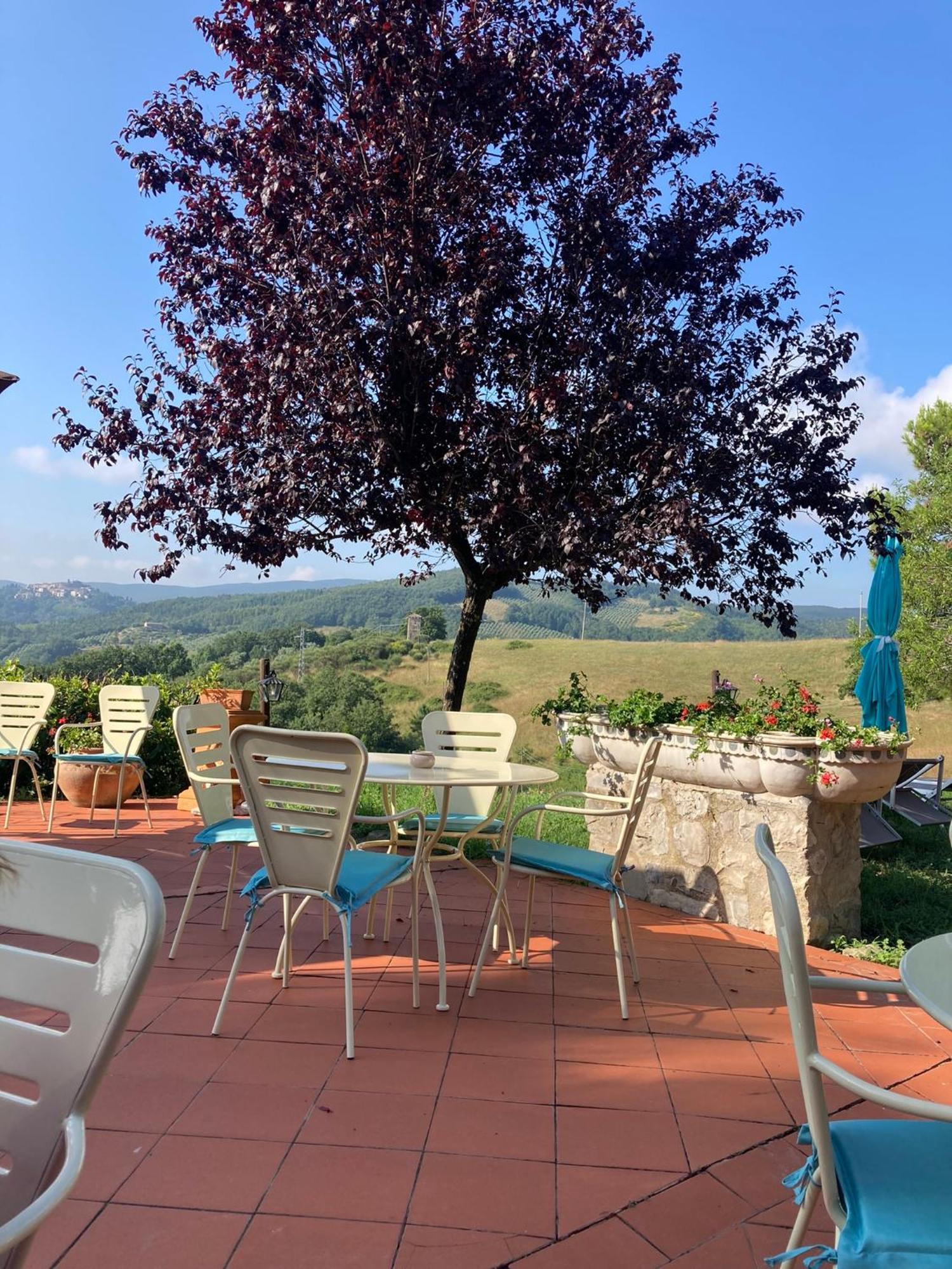 Country House La Collina Di Bargiano - Casa Raffaella Allerona Ngoại thất bức ảnh