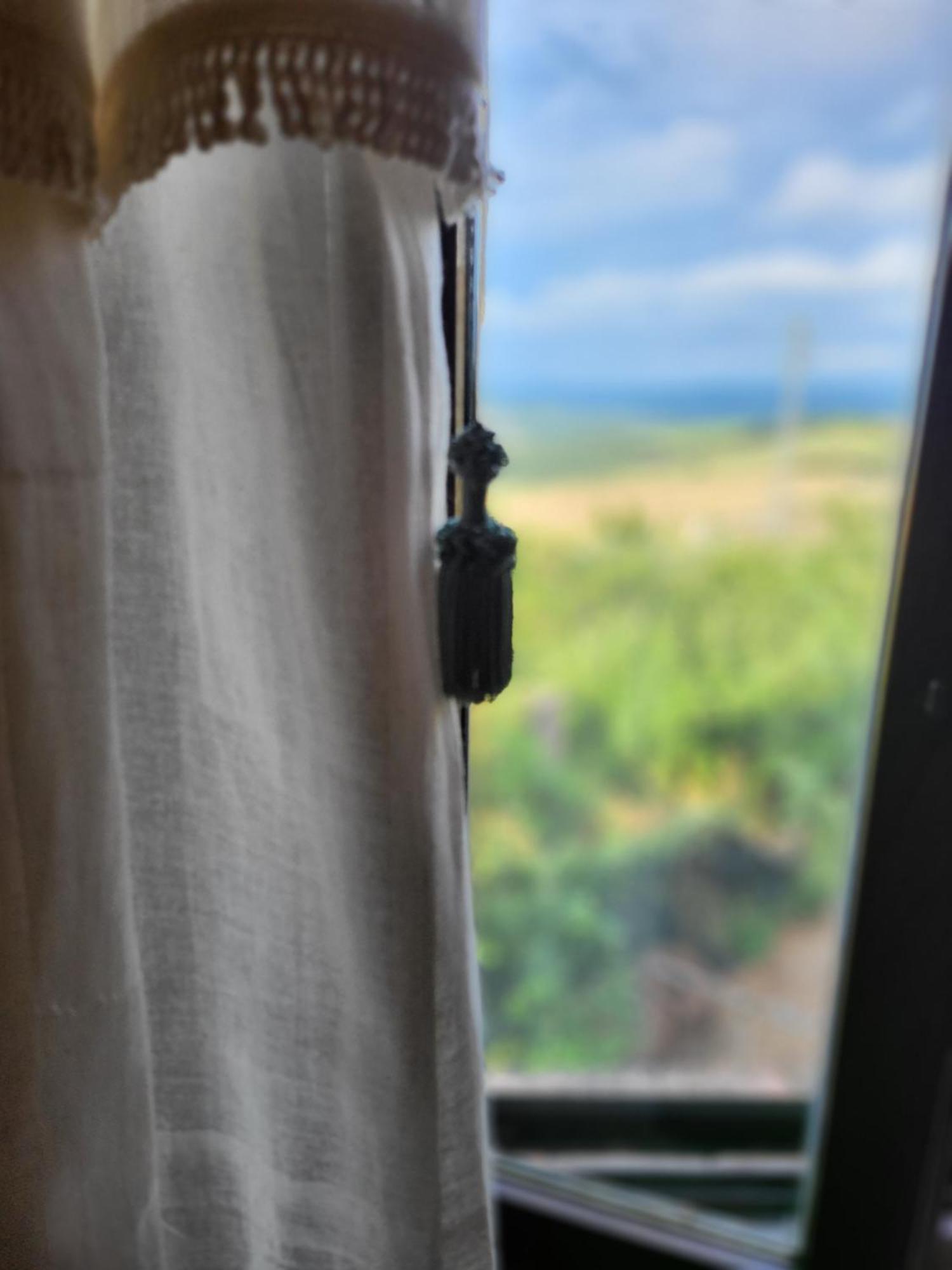 Country House La Collina Di Bargiano - Casa Raffaella Allerona Ngoại thất bức ảnh